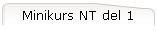 Minikurs NT del 1